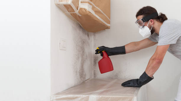 Professional Commercial Mold Remediation technician working in Hudson, NC