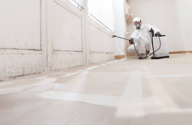 24/7 Emergency Commercial Mold Remediation experts in Hudson, NC